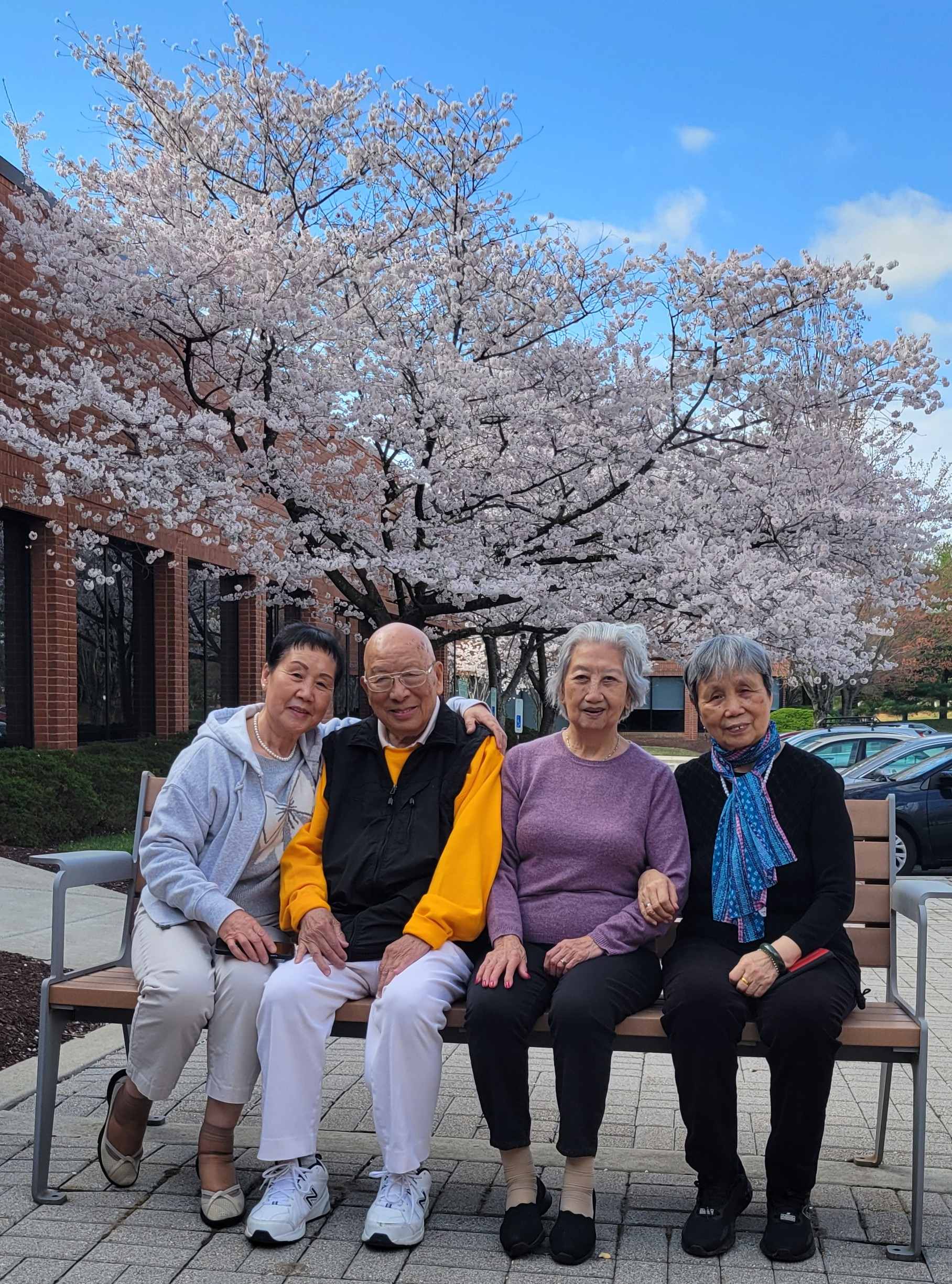 櫻花盛開在真善美(標題圖檔)